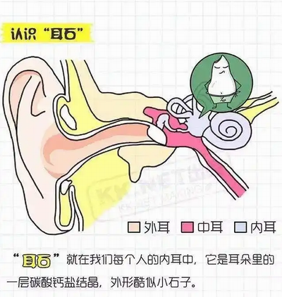 調整大小 微信圖片_20230804155753.png